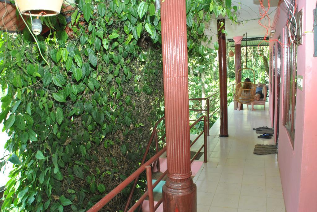 Jungleparadiso Homestay テッカディ エクステリア 写真