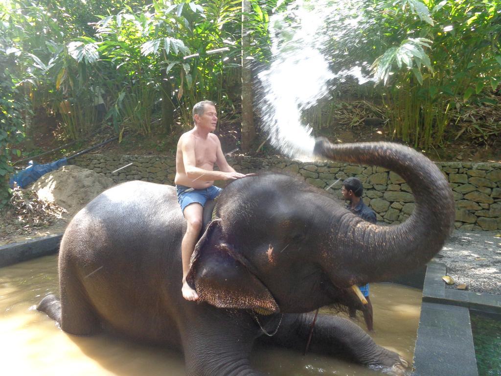 Jungleparadiso Homestay テッカディ エクステリア 写真