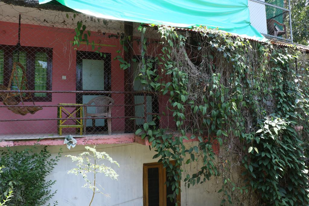 Jungleparadiso Homestay テッカディ エクステリア 写真