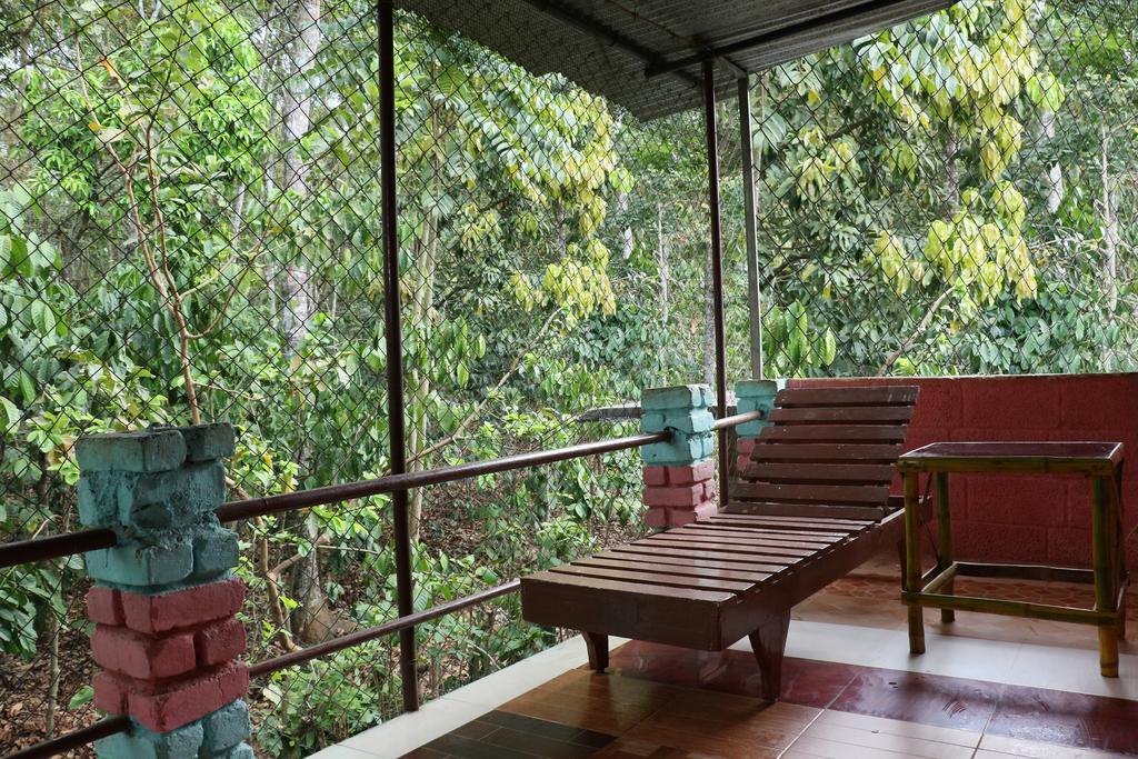 Jungleparadiso Homestay テッカディ エクステリア 写真