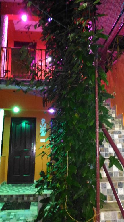 Jungleparadiso Homestay テッカディ エクステリア 写真