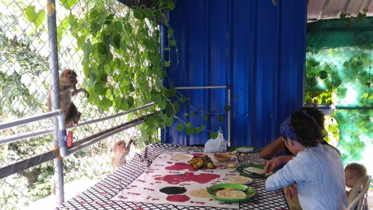 Jungleparadiso Homestay テッカディ エクステリア 写真